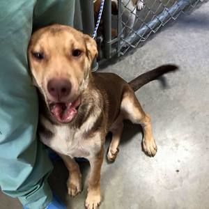 Meet your Posher, Jesse