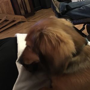 Meet your Posher, Veronica