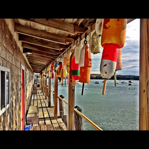 Meet your Posher, Veronica - Picture 3 of 4