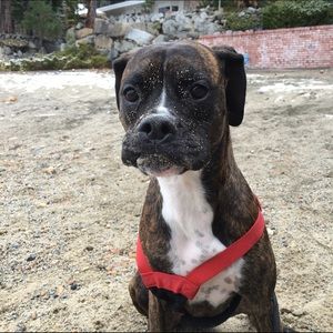 Meet your Posher, Melanie