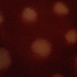 Meet your Posher, Tera