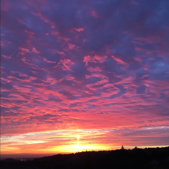 Meet your Posher, Lori - Picture 1 of 1