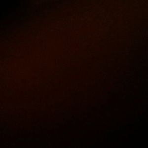 Meet your Posher, Ana