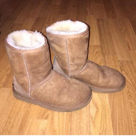UGG Shoes - Used tan uggs