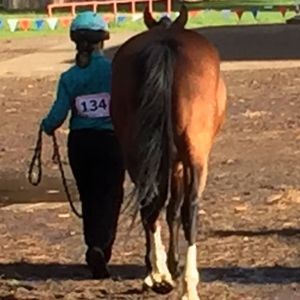 Meet your Posher, Cindy