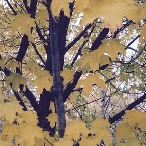 Meet your Posher, Mckenna