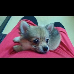 Meet your Posher, Alicia