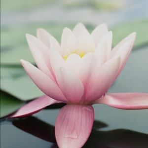 Meet your Posher, Georgina