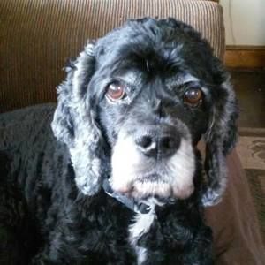 Meet your Posher, Joanne