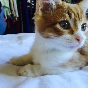 Meet your Posher, Marie