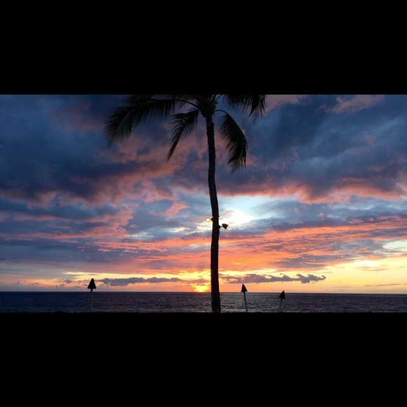 Meet your Posher, Dee anna - Picture 1 of 1