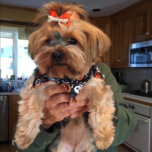 Meet your Posher, Emma