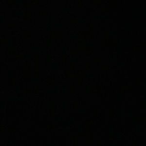 Meet your Posher, Braxton