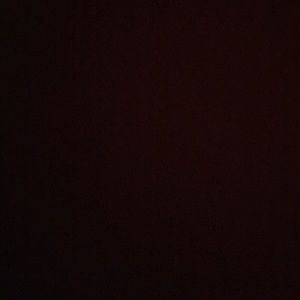 Meet your Posher, Daniella