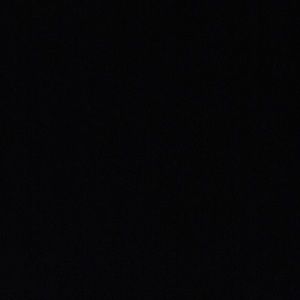 Meet your Posher, Dianna