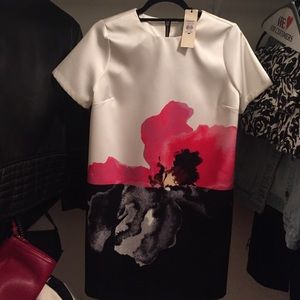 Brand new Topshop shift dress