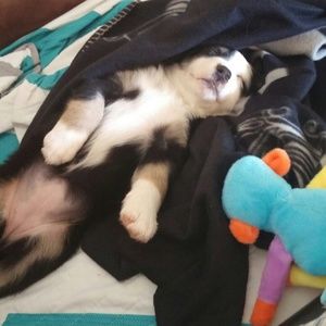 Meet your Posher, Kristy