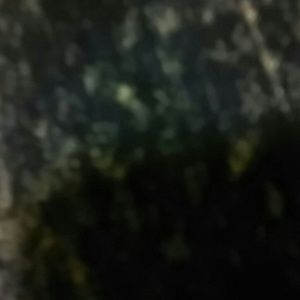 Meet your Posher, Cassy