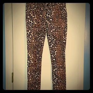 Animal print leggings