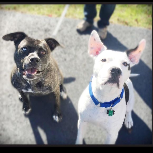 Meet your Posher, Todd