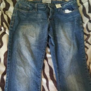 New baby phat women's jeans