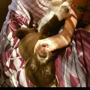 Meet your Posher, Allison