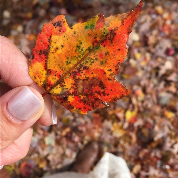 Meet your Posher, Racheal - Picture 1 of 1