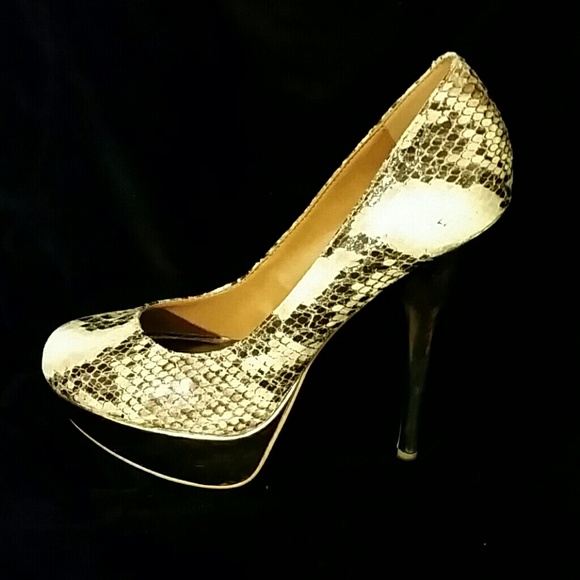 Steve Madden Caryssa Reptile Embossed pumps  8.5M - Picture 1 of 4