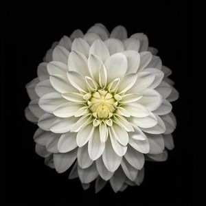 Meet your Posher, Graciela