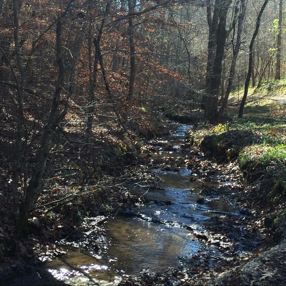 Meet your Posher, Traci - Picture 1 of 1