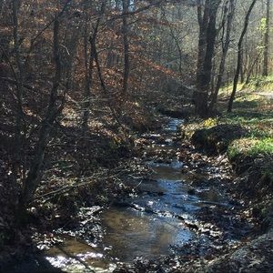 Meet your Posher, Traci