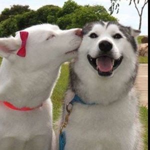 Meet your Posher, Mariah