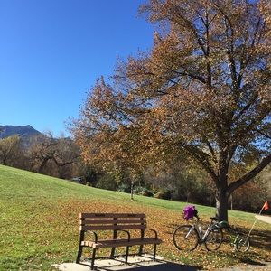 Meet your Posher, Jing