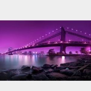 Meet your Posher, Ted