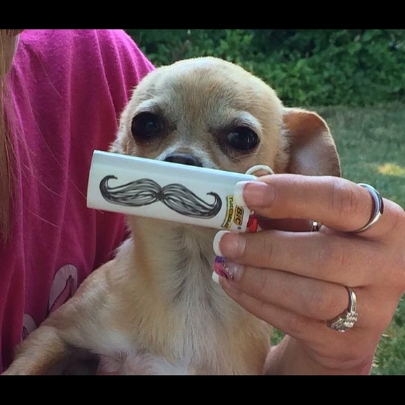 Meet your Posher, Deborah - Picture 1 of 1