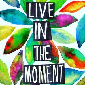 Meet your Posher, Mel