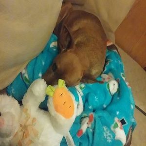 Meet your Posher, Becky