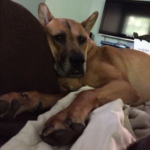 Meet your Posher, Marcy