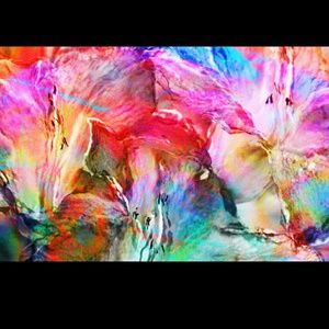 Meet your Posher, Ashlee