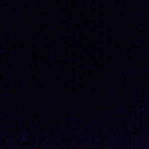 Meet your Posher, Carly