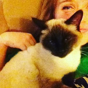 Meet your Posher, Torrie