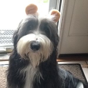 Meet your Posher, Claire