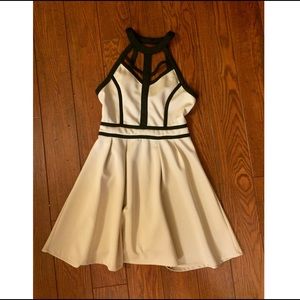 Tobi cream & black fit and flare dress