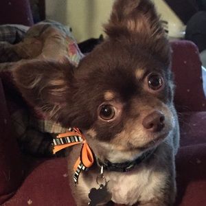 Meet your Posher, Michele