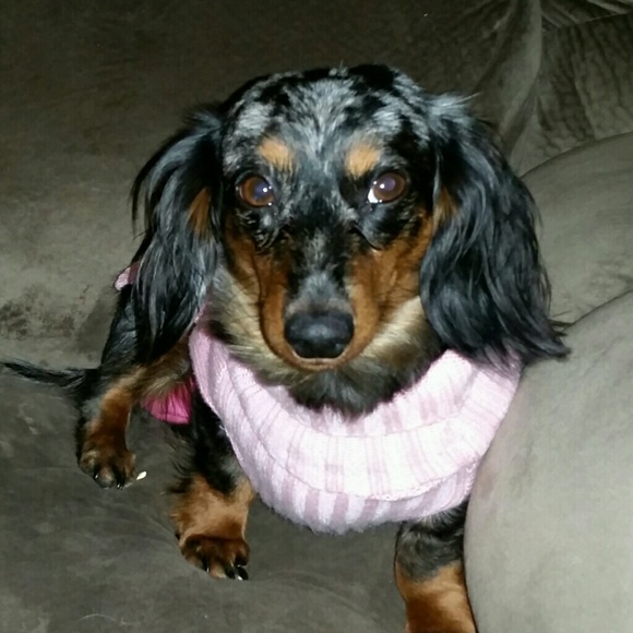 Meet your Posher, Quannah - Picture 1 of 1