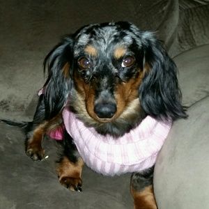 Meet your Posher, Quannah