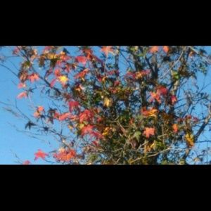 Meet your Posher, Gena