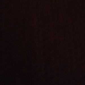 Meet your Posher, Talisa