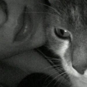 Meet your Posher, Marion