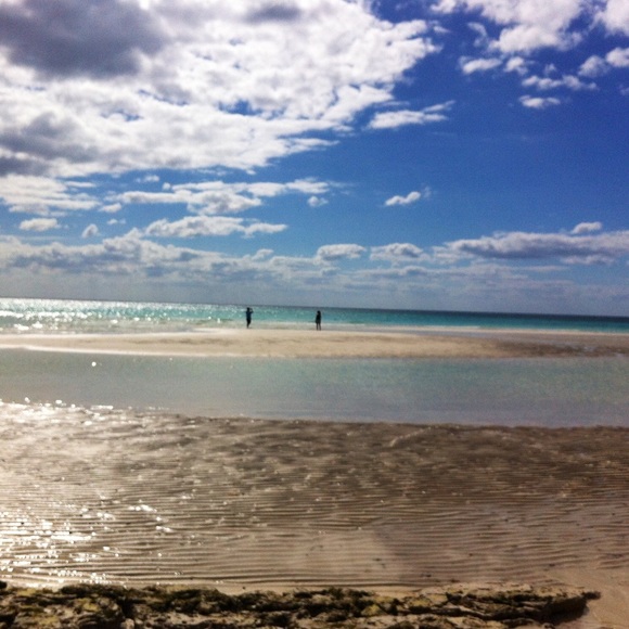 Meet your Posher, Johanna - Picture 2 of 2